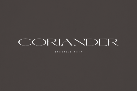 Coriander: A Display Font That Elevates Your Brand Identity