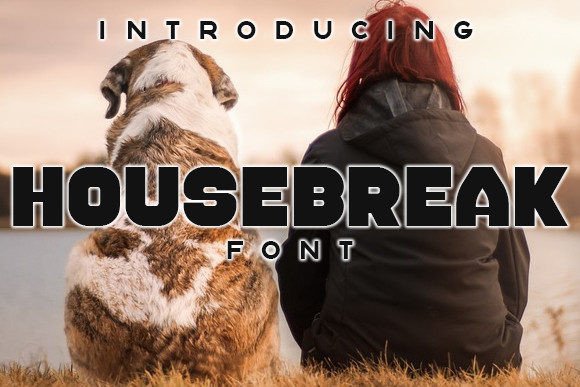 Housebreak: A Display Font That Makes Branding Feel Effortless