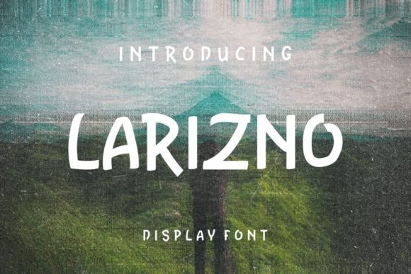 Larizno: A Playful Display Font That Elevates Digital Branding