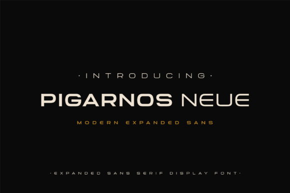 Pigarnos Neue: A Display Font That Feels Like a Design Win